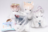 Siberian Husky Plush Toy [All 4 type set(Full Complete)]