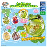 Manmaru frog Clear Mejirsuhi Gacha Mascot [All 4 type set(Full Complete)]