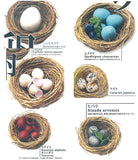 Bird egg miniature collection [All 6 type set(Full Complete)]