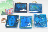 Layer Frame Gallery Series si_ku.k Acrylic Keychain Part.3 [All 5 type set(Full Complete)]