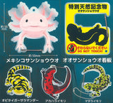 Salamander and Newt Carabiner [All 5 type set(Full Complete)]