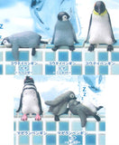 Fuchiyasumi Penguin [All 5 type set(Full Complete)]