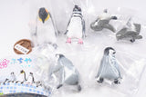Fuchiyasumi Penguin [All 5 type set(Full Complete)]