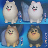 Lighting Pomeranian [All  type set (Full Complete)]