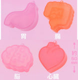 Medicine Case [All 4 type set(Full Complete)]