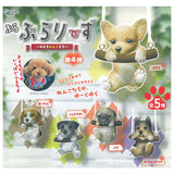 Buraburari-zu Part.3 Yureruwankotachi [All 5 type set(Full Complete)]