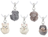 Manmaru Animal Manmaru Dog Mejirushi Gacha Mascot [All 5 type set(Full Complete)]