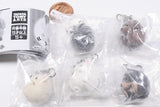 Manmaru Animal Manmaru Dog Mejirushi Gacha Mascot [All 5 type set(Full Complete)]