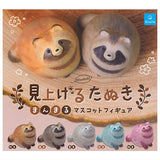 Miagerutanuki Manmaru Mascot Figure [All 5 type set(Full Complete)]