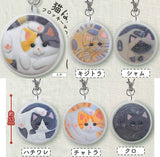 Nekohaekitai Flocky mascot [All 6 type set(Full Complete)]