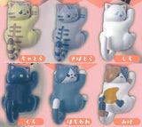 Zuriochi pinch! Nyanko Hook [All 6 type set(Full Complete)]