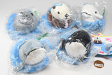 Nature Techni colour MONO Umikarahyokkori Plush Toy [All 5 type set(Full Complete)]