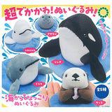 Nature Techni colour MONO Umikarahyokkori Plush Toy [All 5 type set(Full Complete)]