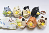 Hachinoco Cat Single Flower Vase Collection [All 7 type set(Full Complete)]