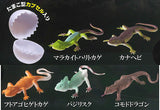 Lizard Collection [All 5 type set(Full Complete)]