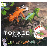 Lizard Collection [All 5 type set(Full Complete)]