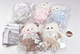 Baby Otter Plush Toy [All 5 type set(Full Complete)]