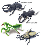 Konchu no Mori Golden color no sugoi yatsu [All 4 type set (Full Complete)]