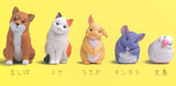 Kyoton. [All 5 type set (Full Complete)]
