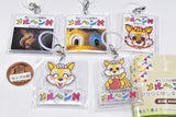 Marchen Village Acrylic Yurayura Markers [All 5 type set (Full Complete)]