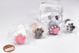 Pettan Paw Umbrella Cap Vol.2 [All 4 type set (Full Complete)]
