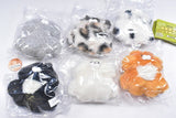 Hamsters stuffed too far into the cheek pouches of Nekohara Shoten stuffed toy [All 6 type set (Full Complete)]