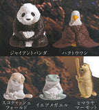 ZAZEN Part.3 [All 5 type set (Full Complete)]
