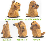Marmot Royale [All 5 type set (Full Complete)]