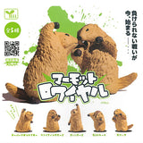 Marmot Royale [All 5 type set (Full Complete)]