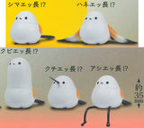 Shimae... Naga!? [All 5 type set (Full Complete)]