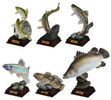 Nature Techni colour Japanese Clear Stream Special Edition [All 6 type set (Full Complete)]