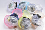 Nature Techni colour Japanese Clear Stream Special Edition [All 6 type set (Full Complete)]