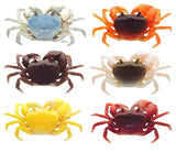 Nature Techni Colour MONO PLUS Freshwater crab figure mascot [All 6 type set (Full Complete)]