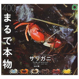 Nature Techni Colour MONO PLUS Freshwater crab figure mascot [All 6 type set (Full Complete)]