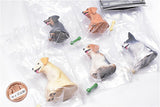 Mateboke dog Part.4 [All 5 type set (Full Complete)]