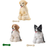 Mateboke dog Part.4 [Assorted 3 type set (1.2.3)]