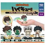 Haikyu!! Hide & Seek Figure Aoba Johsai & Fukurodani Academy [All 4 type set (Full Complete)]