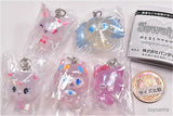 Jewelpet Mejirushi Accessory Kirakira Aurora ver. [All 5 type set (Full Complete)]