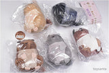Palm-sized Degu plush toy [All 5 type set (Full Complete)]