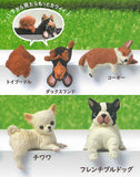 Fuchiyasumi Various dogs [All 5 type set (Full Complete)]