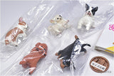 Fuchiyasumi Various dogs [All 5 type set (Full Complete)]
