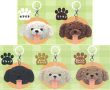 Perorin Toy Poodle Mejirushi Plush Charm [All 5 type set (Full Complete)]