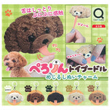 Perorin Toy Poodle Mejirushi Plush Charm [All 5 type set (Full Complete)]