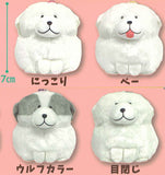 Mucchiri Great Pyrenees plush toy [All 4 type set (Full Complete)]