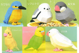 Kakukakutoritori [All 6 type set (Full Complete)]