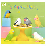Kakukakutoritori [All 6 type set (Full Complete)]