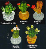 Kirakira Cactus Figure Part.3 [All 5 type set (Full Complete)]