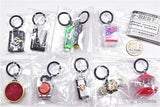 Kamen Rider Series Mejirushi Accessory BEST [All 10 type set (Full Complete)]