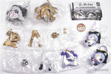 Gorgeous Videos: A Figure Collection Full of Go-sama [All 6 type set (Full Complete)]