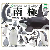 Nature Techni Colour The South Pole Special Edition [All 6 type set (Full Complete)]